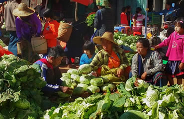 The colorful morning market