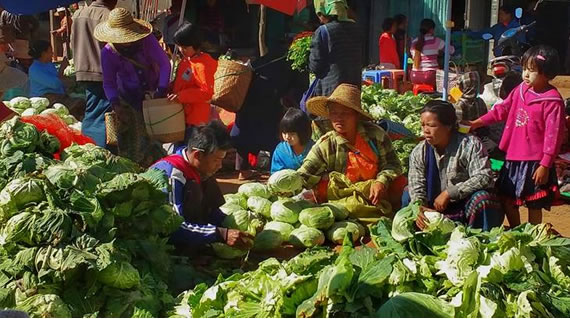 Colorful morning Market